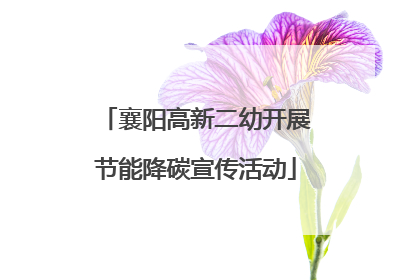 襄阳高新二幼开展节能降碳宣传活动
